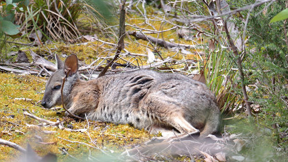 Rocky River Campground