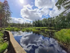 Bosgårdsfallet