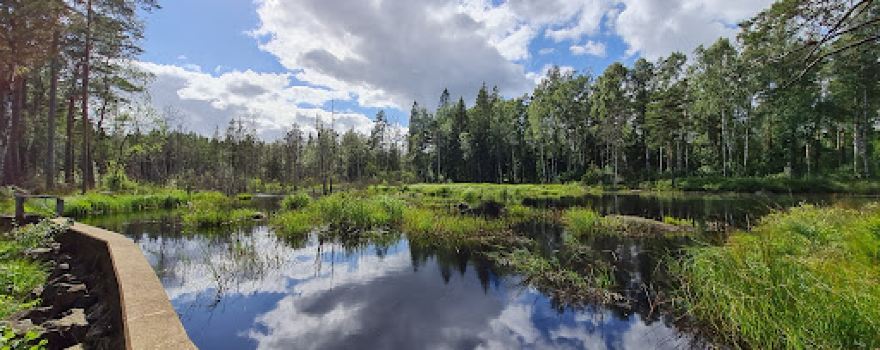 Bosgårdsfallet