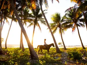 Mozambique Horse Safari