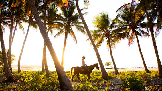 Mozambique Horse Safari