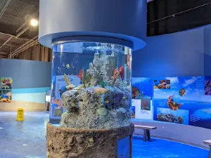 Living Shores Aquarium
