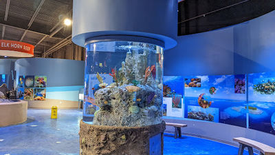 Living Shores Aquarium