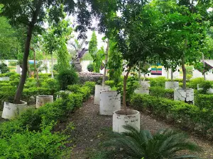 Nakshatra Garden