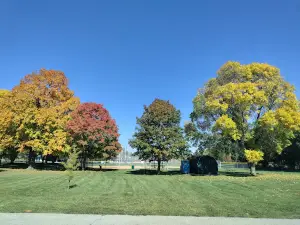 Starin Park
