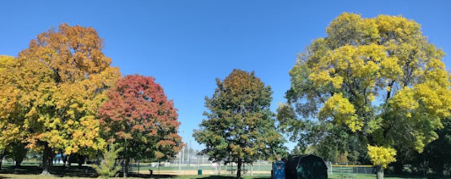 Starin Park