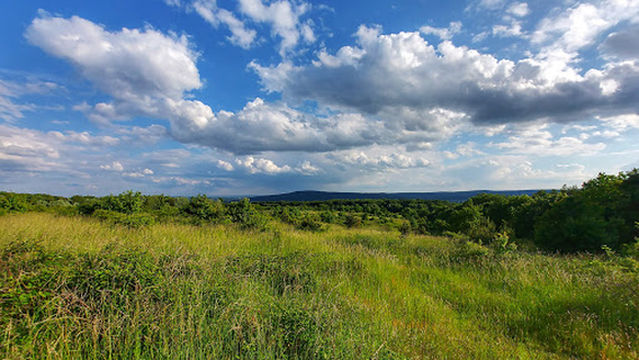 Kráľova hora (lúka nad Dlhými dielmi)
