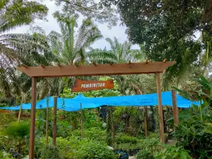Socfindo Conservation