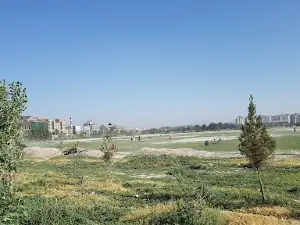 Chaman Hozori