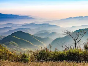 Doi Kat Phi Forest Park