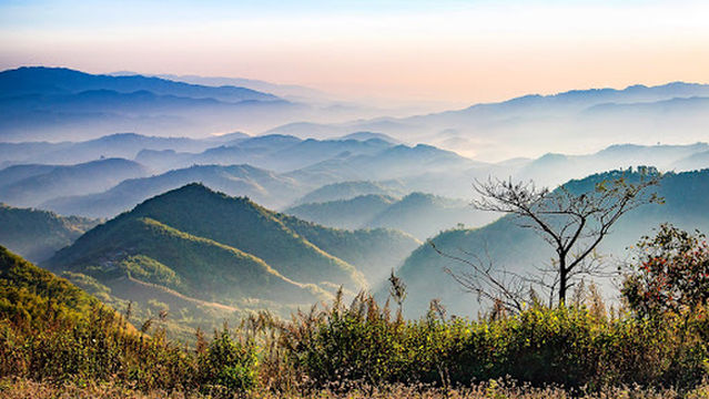 Doi Kat Phi Forest Park