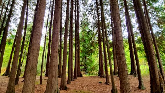 Parque Biológico da Serra das Meadas - Lamego