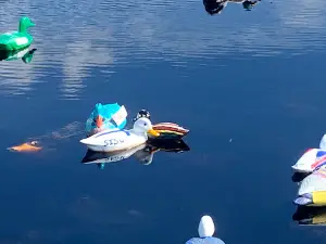 Ditch Ducks