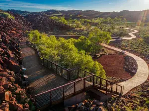 Nganjarli - Burrup Peninsula