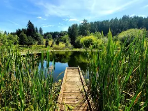 Miller Woods Conservation Area