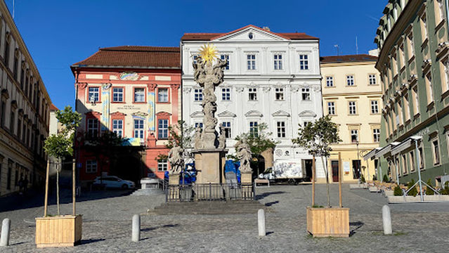 Goose on a String Theatre