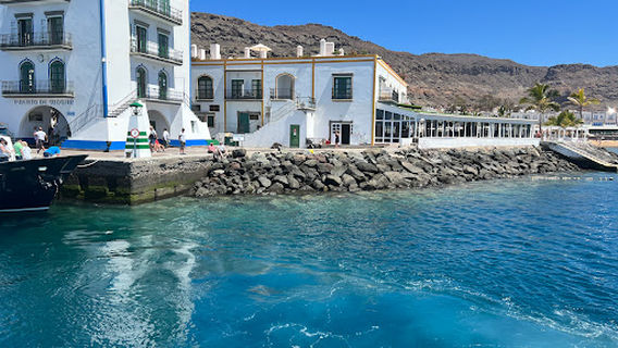 Líneas Blue Bird