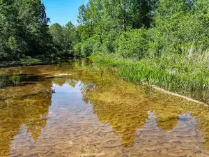 Gantt Lake