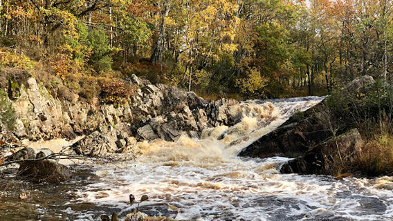 Sumpafallen Nature reserve