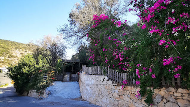 Çeyrek Camping&Bungalows Patara