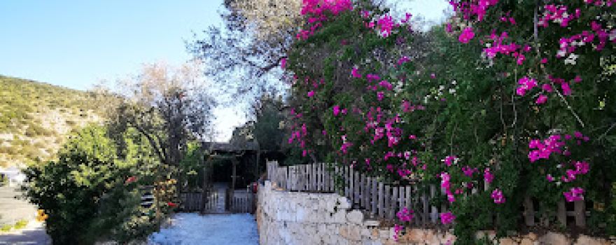 Çeyrek Camping&Bungalows Patara