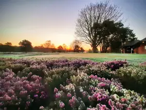 Market Rasen Golf Club