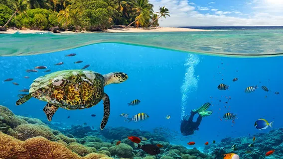 CR DIVERS | PADI 5* Dive Center | Snorkeling & Scuba Diving