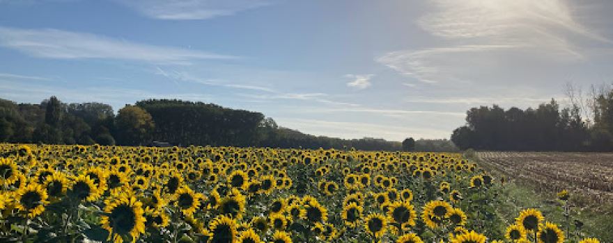 Bivakzone Wereldboom-Horebeke