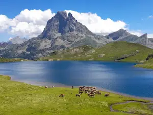 Camping Le Rey en vallée d'Ossau