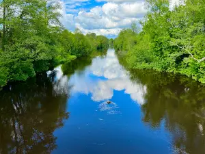 Kattugglan ställplats