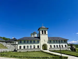 Mănăstirea Salva