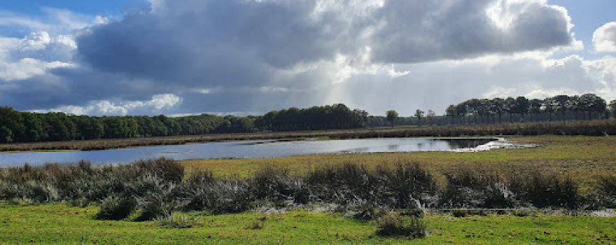Havezathe De Klencke