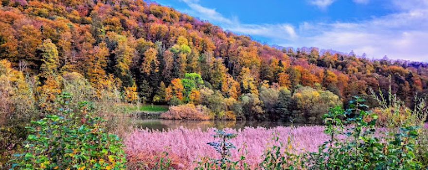 Lac de Lucelle