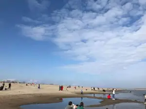 Empress Tree Beach