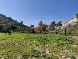 Keret River Park