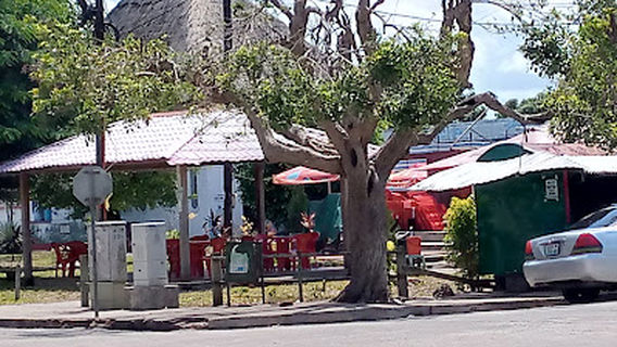 Parque Municipal de Quelimane - Jardim Martires de Wyriamo
