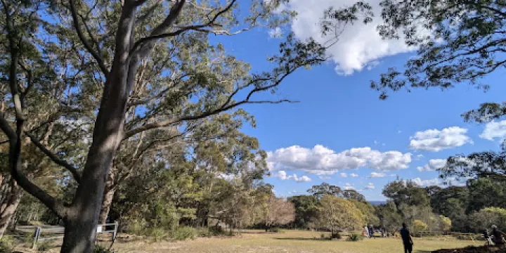 Kincumba Mountain Reserve