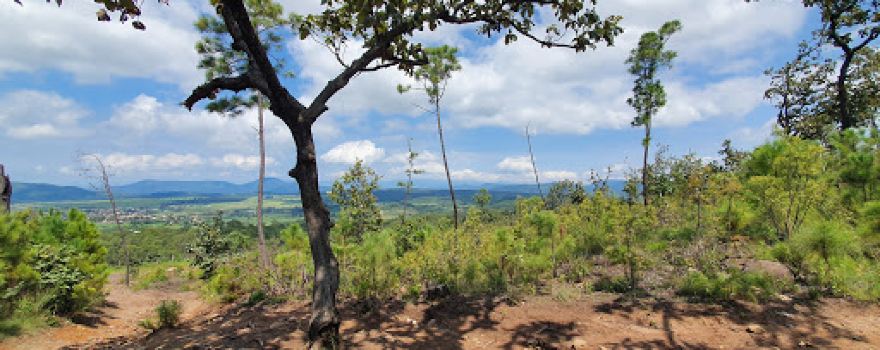 Mirador De Chiquilistlan