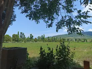 Taman Tanjung Api