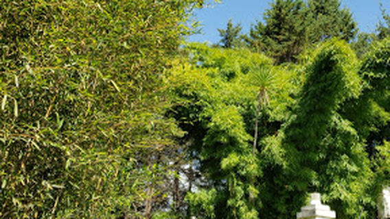 Los Molinos de Sairutsa