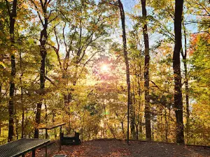 Bailey's Point Campground store