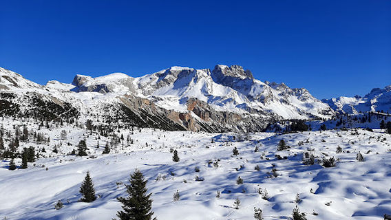 Braies