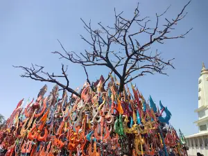 Shri Nagdwar Swami Temple Padmshesh
