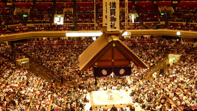 Tokyo Sumo Wrestling Watching
