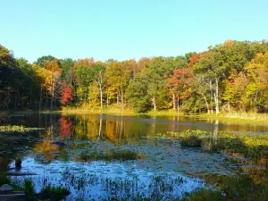 Chain O’ Lakes State Park