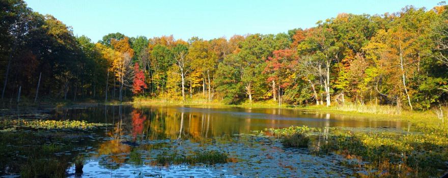 Chain O’ Lakes State Park