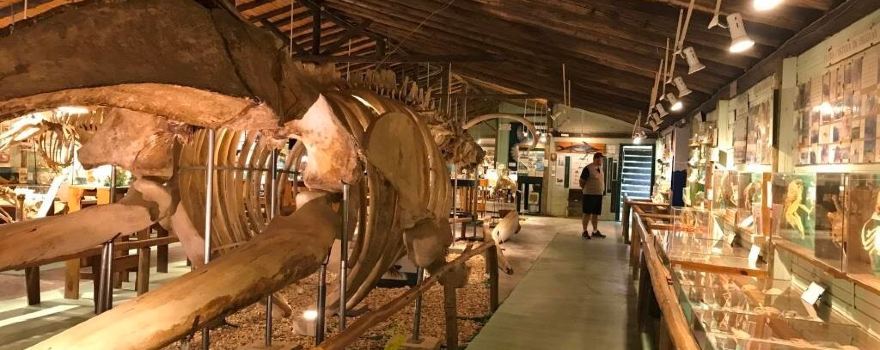 Museo del Mar
