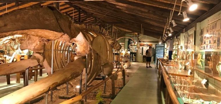 El Tesoro Añejo Tequila (엘 테소로 아네호 데킬라)