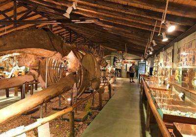 Museo del Mar