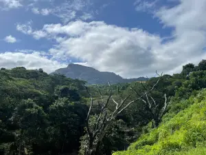 Sleeping Giant Zipline, Orchid Falls & Jungle Safari